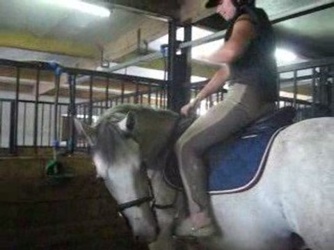 Start up débourrage lundi 13 aout 2009