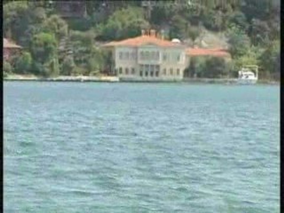 İstanbul Boğazı'nda Yunusların Teknelerle Yarışı