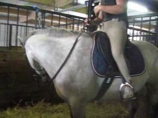 Start up débourrage lundi 13 aout 2009