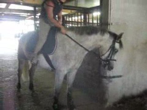 Start up débourrage lundi 17 aout 2009