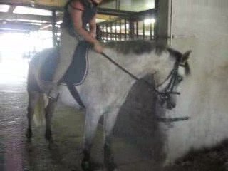 Start up débourrage lundi 17 aout 2009