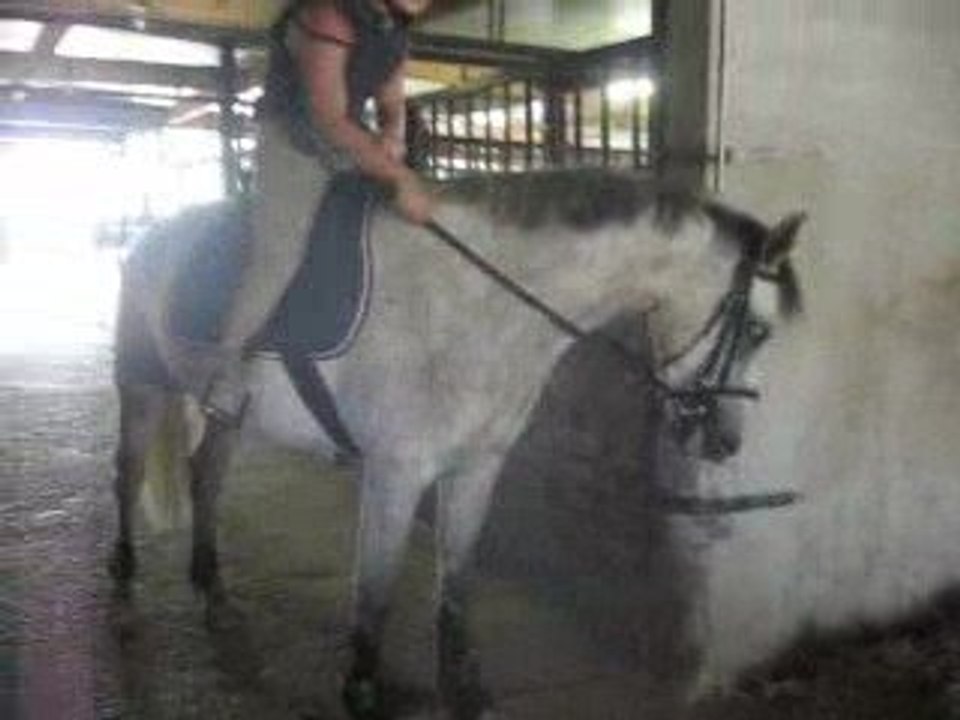 Start up débourrage lundi 17 aout 2009