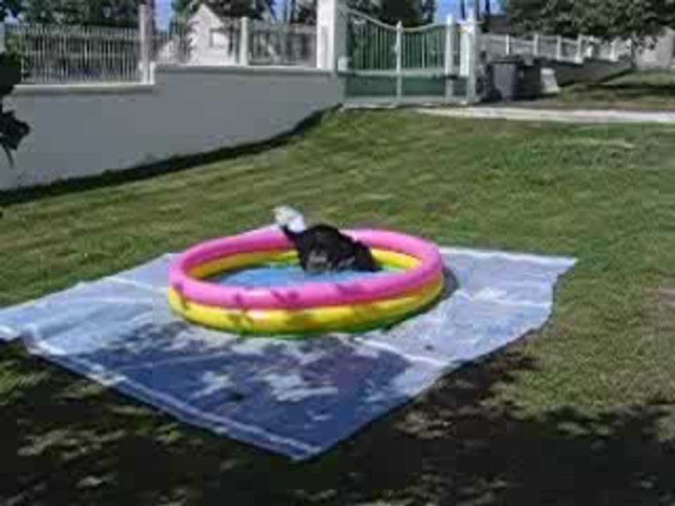 le bain 2