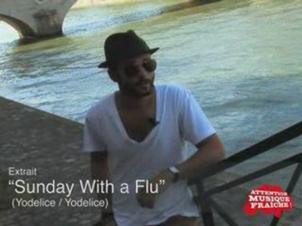 YODELICE- Tree of life- Interview video