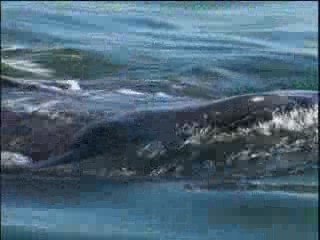 Pauline Frommer on Travel to Cancun