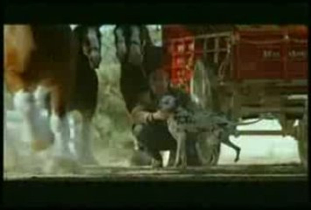 Budweiser 2009 Commercial