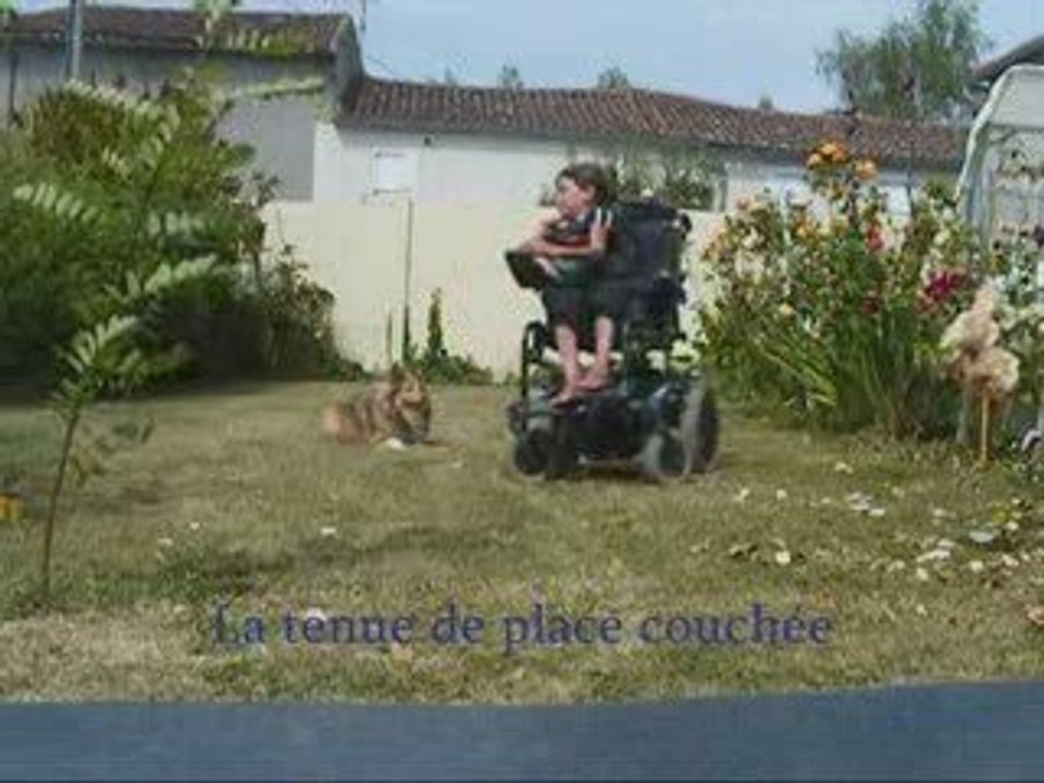 dixie en obéissance