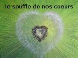 LE SOUFFLE DE NOS COEURS....