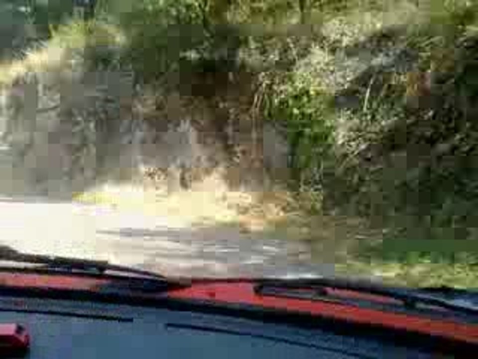 rally cevennes, 205 gti mi16 ,205 gti 1.6  ,206 hdi