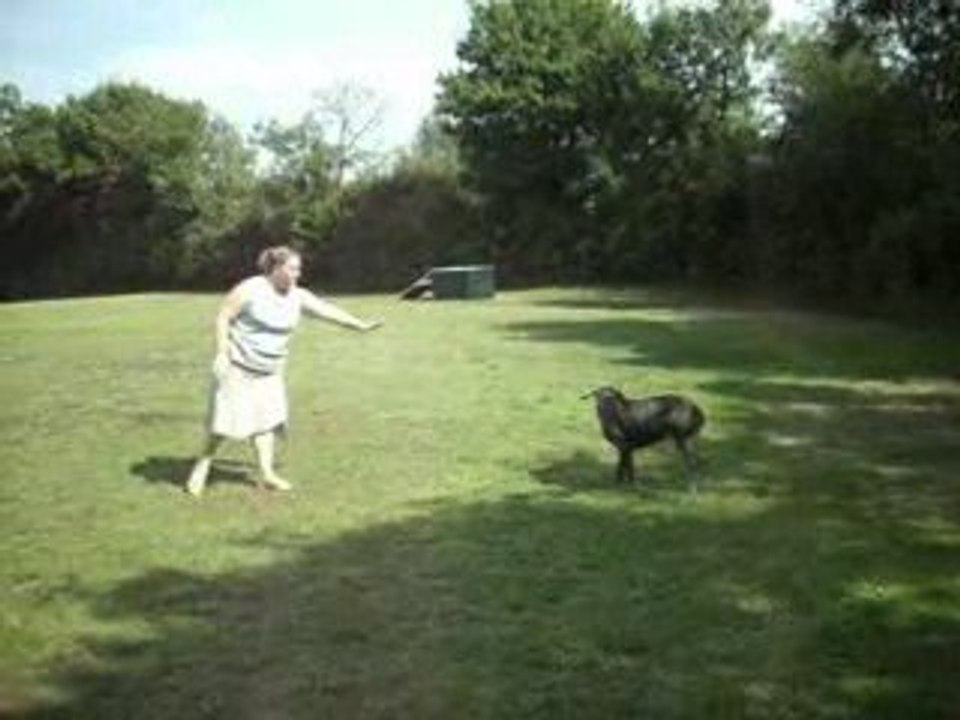 Annabelle et Virgule (le debout)