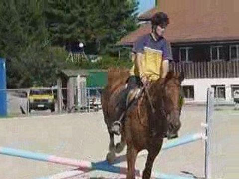 Les franches montagnes