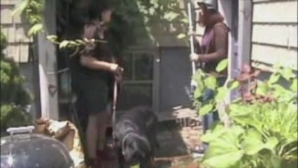 /Users/teacher/Movies/Sugar