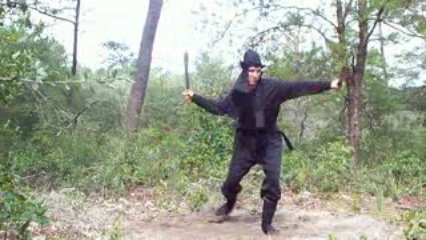 shinpi gorinto ryuha (new and old martial arts techniques)