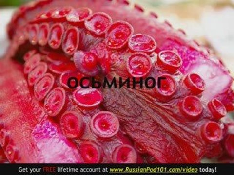 Learn - Russian Marine Animals Vocabulary