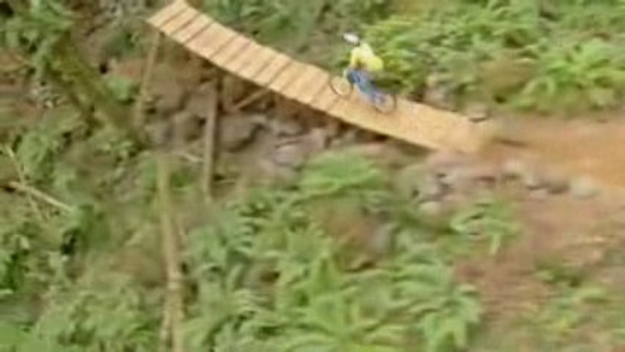 New World Disorder - Dust and Bones