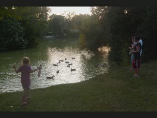 nourrir les canards et les carpes