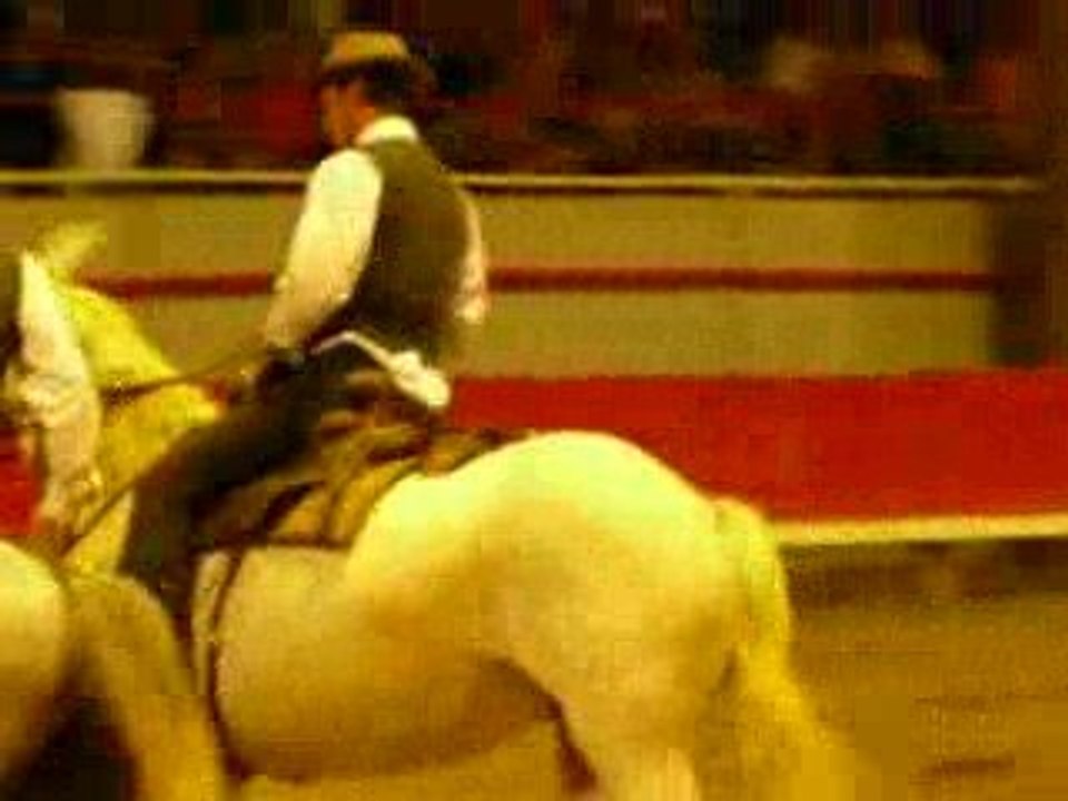 La Camargue en Liberté (spectacle equestre).