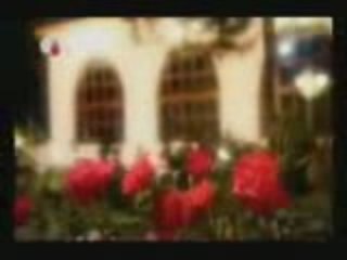 Seyyid Osman Hulusi Efendi 2