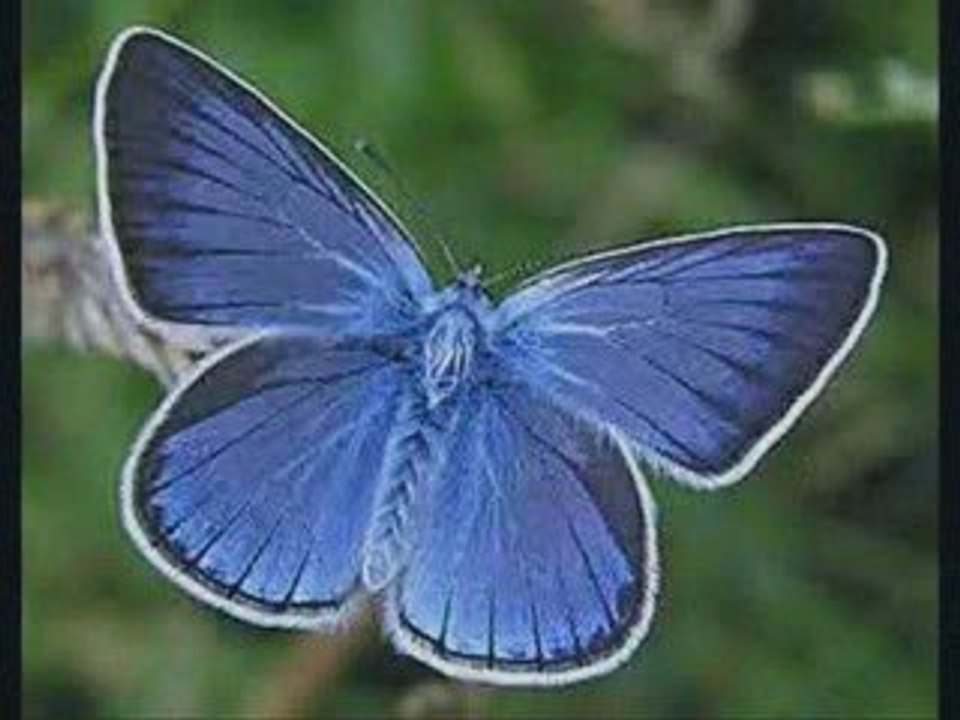 Emmènes moi ( sur l' air de Emmenez-moi d' Aznavour )