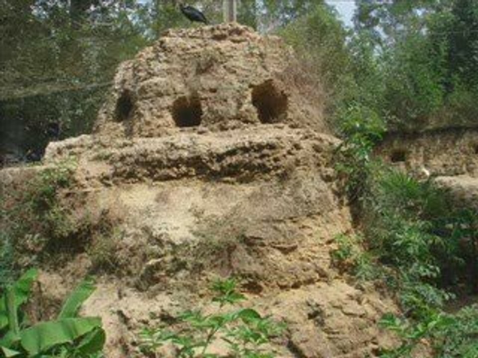 Vacances Théophane - Août 2009 -ter