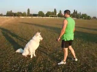 LUPO AU STADE
