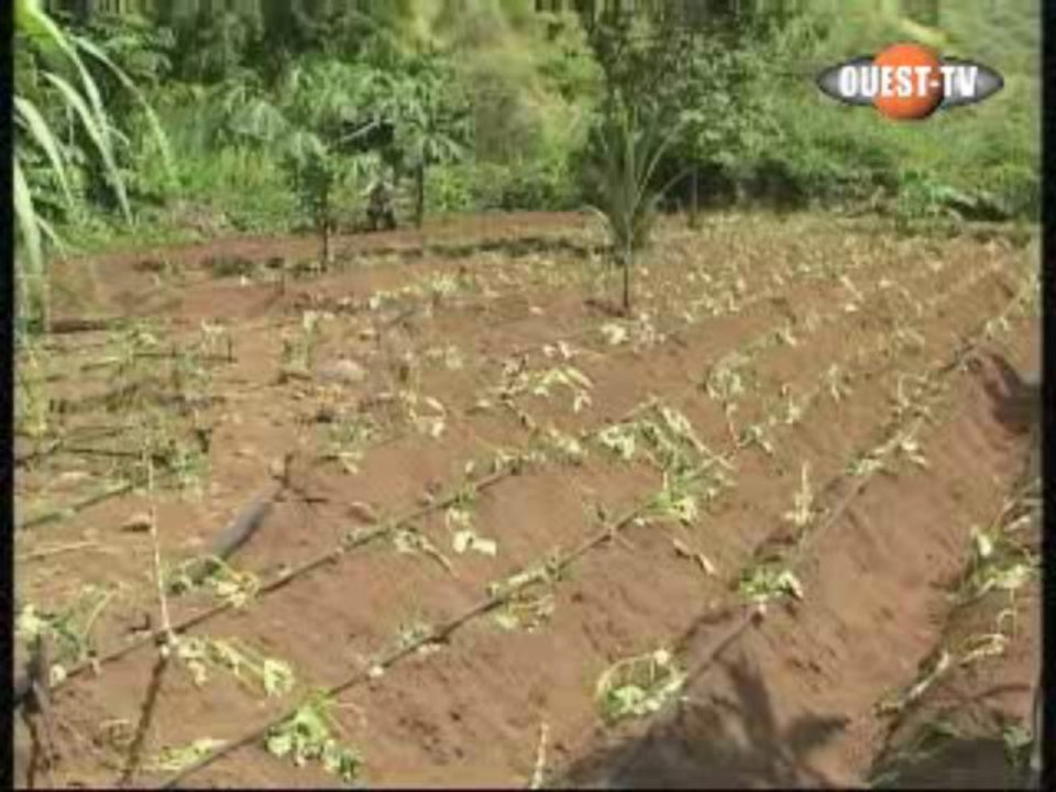 Impact CEDEAO - Samedi 1er Août 2009