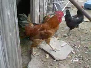 Sortie des artistes ardéchoises