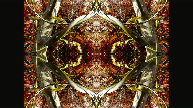 Sculptures-Vivantes _ 18-08-2009 _ seconde partie