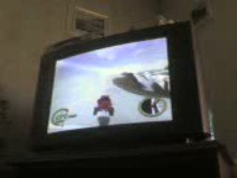 Bug Smuggler's Run (PS2)