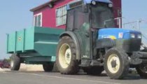 PREMIERES VENDANGES DE FRANCE EN ROUSSILLON