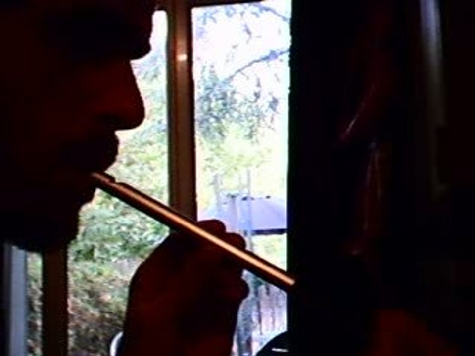 Flute a coulisse