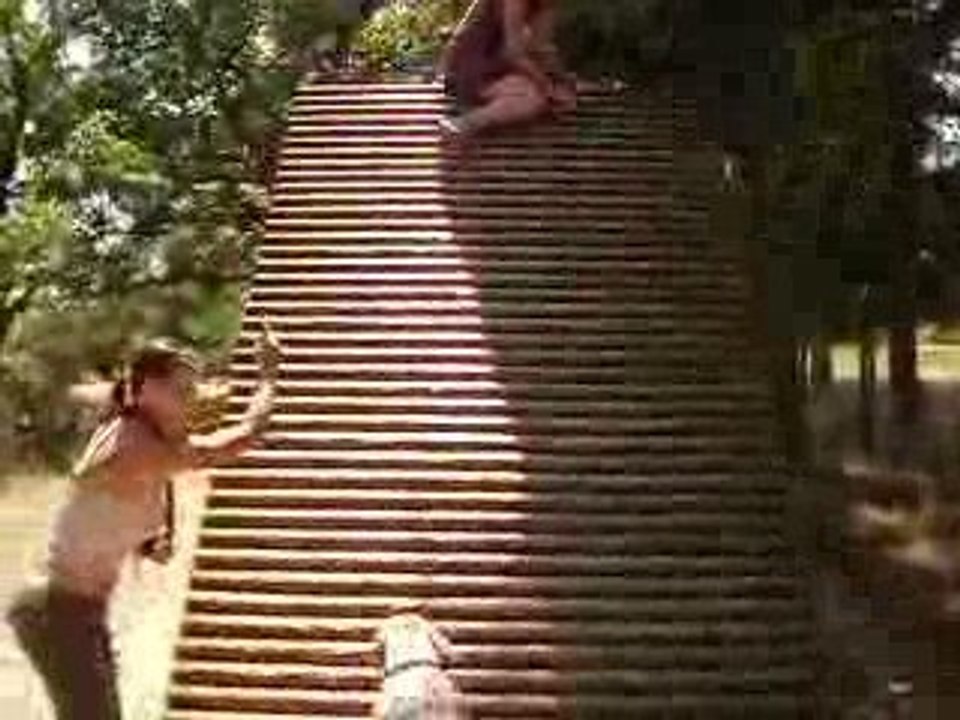chèvres boxer