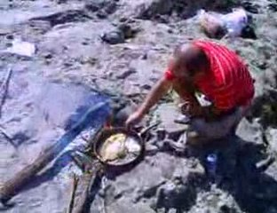 Çaylıoğlu 3 balık  tava video