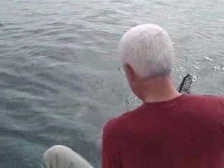 Séquence émotion en baie de Douarnenez