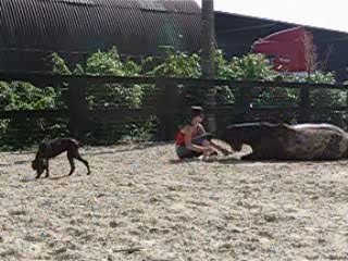 Gamin , Zara & Julie