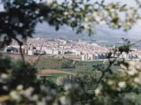 Zile oyun havaları (ayağıma bastın cocuk)zileweb.com