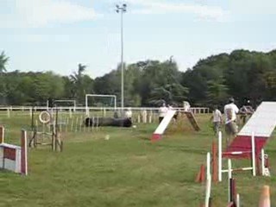 Nouans, Lulu-Gibson, Open