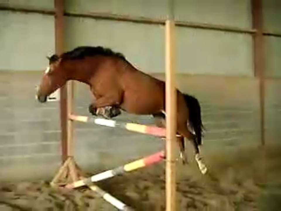 Saut en liberté