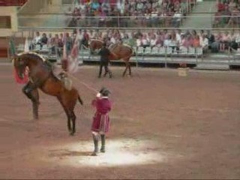 Le cadre noir de saumur