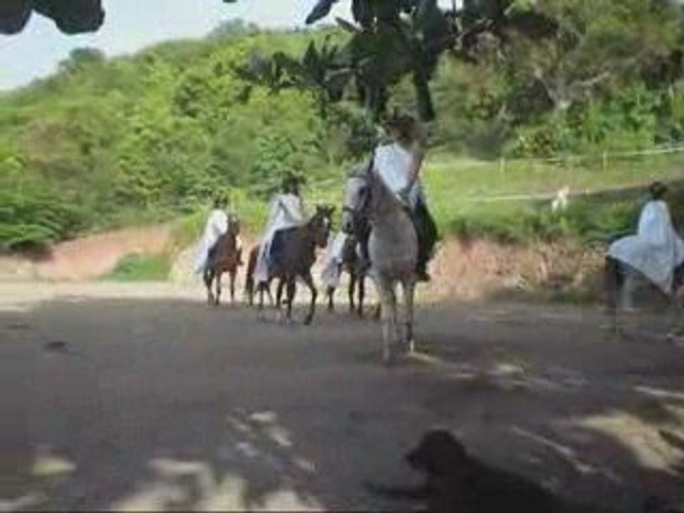 Carrouselle equestre les déèsse =p mdr