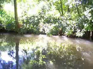 Les Canals de la Venise Verte