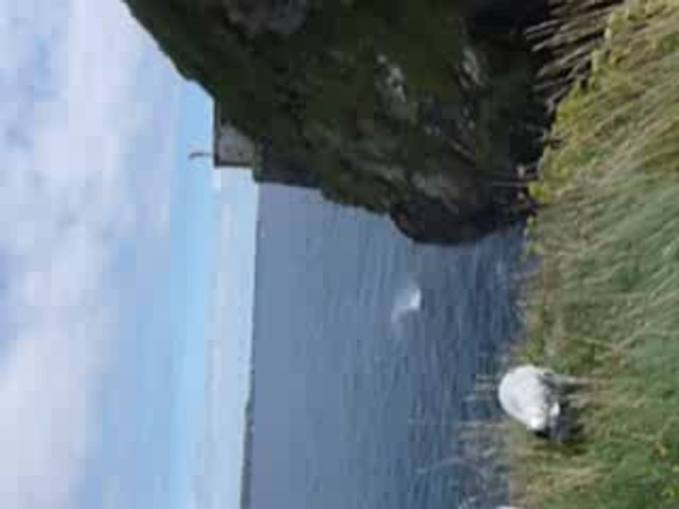 Tiien saut du blocos berthaume