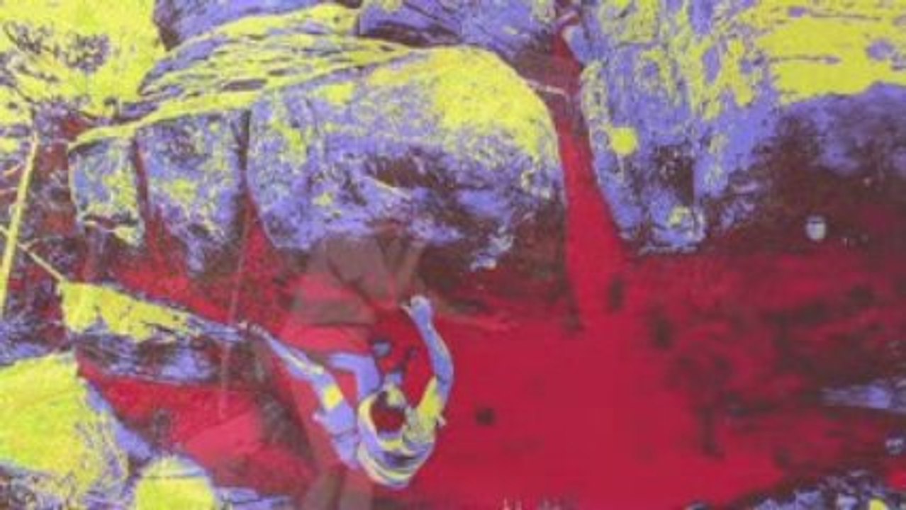 Bloc au HAB (Vosges)