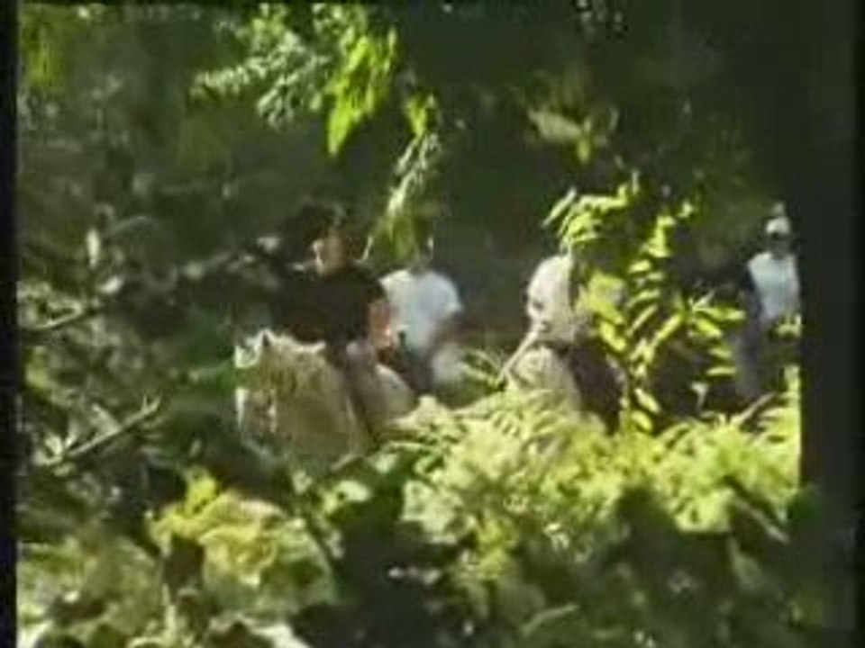 ΙΠΠΑΣΙΑ ΠΗΛΙΟ ΜΑΓΝΗΣΙΑ