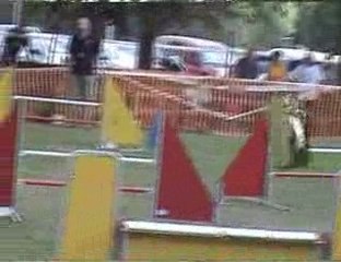 Distroff 2009 - Jumping