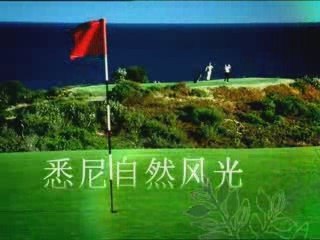 Sydney as a Group Incentive Travel Destination