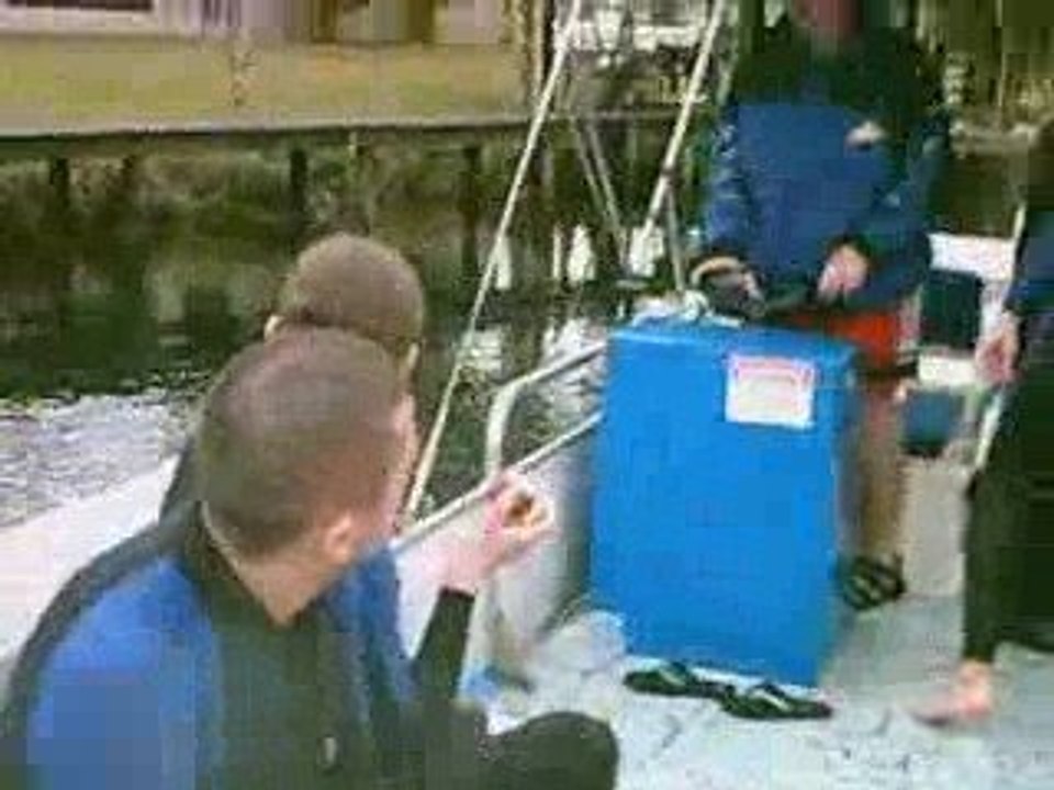 The Hunt For The Elusive Manatee