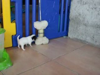 Nouvelle du petit miraculé et deux supers mamans