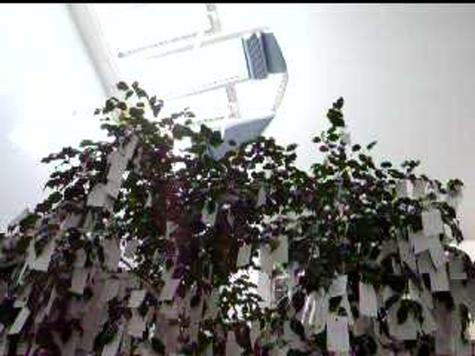 L'arbre à souhaits de Yoko Ono