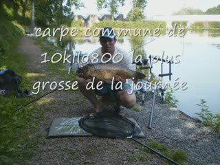 carpodrome la carpe d or